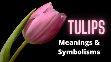 tuleg meaning|TULIG: Definition of the Tagalog word tulig in English..